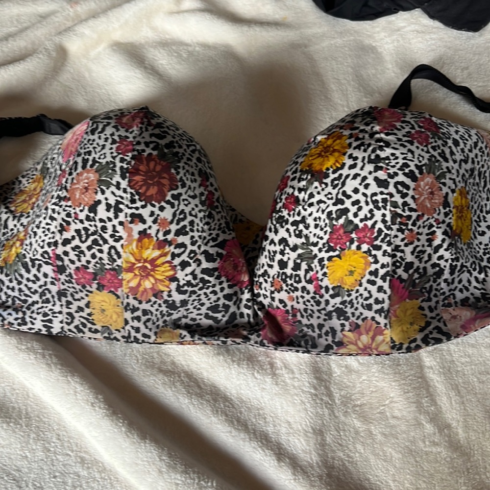 Torrid bra